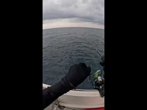 The Sound That Finally Makes You Sleep — Rainforest Night ASMR