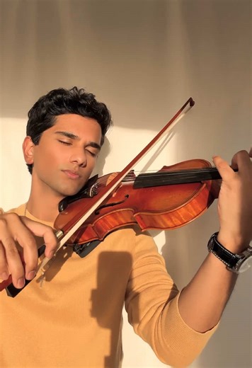 Elegant Violin Melodies for a Ballroom Experience