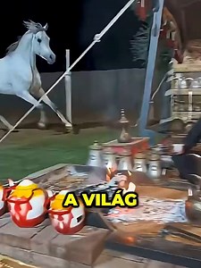 A világ legveszélyesebb lovai: top 3 veszélyes fajták
