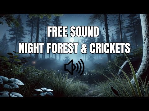 Copyright Free Night Forest Ambience - Chirping Insects Crickets & Relaxing Nature Sounds