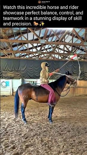 Amazing Horse & Rider Performance | Perfect Balance, Control & Teamwork 🐎✨