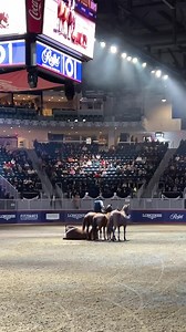 1M views · 29K reactions | Here’s another little clip caught by my...