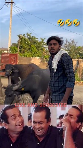 tenth class pass 🤣🤣 #comedy #entertainment #telugucomedy #fun #funny #villagefunny