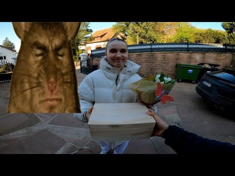 That's it 💔 😔 | Nader Louisa