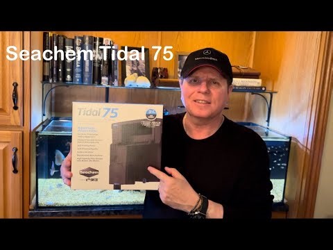 REVIEW: Seachem Tidal Series (Hang On The Back Aquarium Filter) "A Complete and Honest Review"