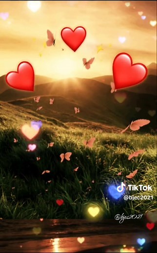 #CapCut #amor #homenaje #leodan #siempreenmicorazon🕊❤️ #baladas