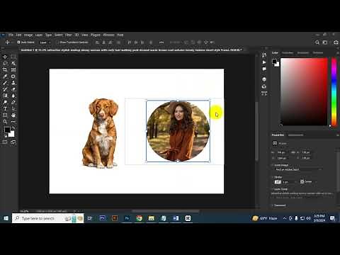 How to use Frame Tool in Photoshop | tutorial