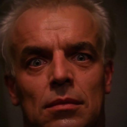 The owls are not what they seem 🦉