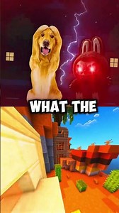 Whatever Fits is Free... 🟥💸