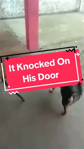 Mysterious Paranormal Activity Caught on Camera