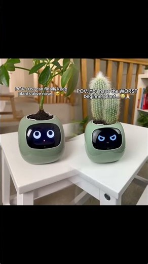 POV: You can finally keep plants alive now..