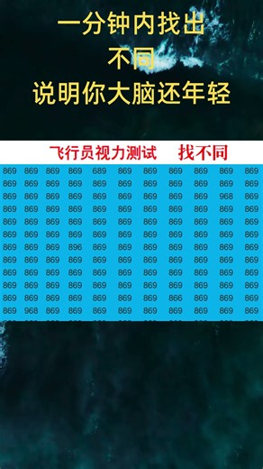 60秒找不同｜飞行员视力+大脑年龄双测试｜Flight Vision Challenge