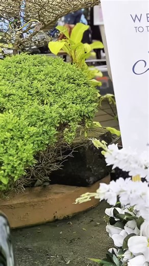 WIDE CREATIVES on Instagram: "✨ 𝙅𝙚𝙧𝙤𝙢𝙚 & 𝘼𝙣𝙟 | 𝙒𝙚𝙙𝙙𝙞𝙣𝙜 𝙏𝙚𝙖𝙨𝙚𝙧 ✨ A glimpse of forever. Moments, emotions, and a love worth waiting for. 🎥 Full SDE coming soon #JeromeAndAnj #WeddingTeaser #WideCreatives #SDEComingSoon #LoveInEveryFrame"