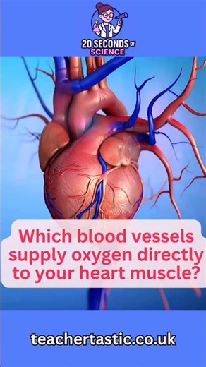 Coronary Heart Disease Explained in 20 Seconds | GCSE Biology Revision