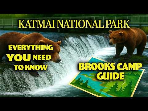 Brooks Camp - Everything You Need To Know Before Visiting Katmai National Park