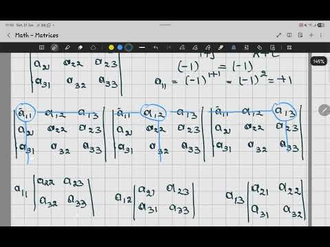 Finding the Determinant: Step-by-Step Guide for 2x2, 3x3, and 4x4 Matrices