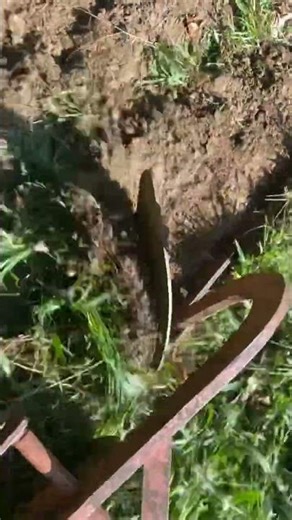 Plowing with the 1970 Sears suburban 12