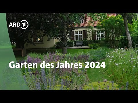 Traumgarten 2024: So sieht der Garten des Jahres aus | MDR Garten