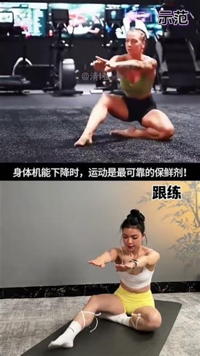 Daily Bodyweight Full-Body Workout: No Gym Needed