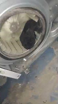 como reparar una secadora que no seca por obstruccion del ventilador