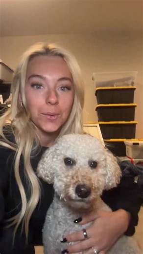 124K views · 5.9K reactions | the dog psychic was right 凉 #dog #dogsofinstagram | serenaneel | Facebook