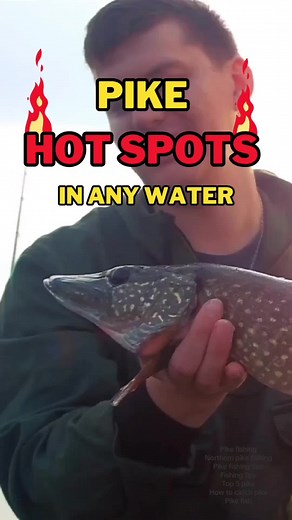Guide to catching pike, hotspots to catch pike in any water. Pike fishing tutorial, how to catch pike. Pike fishing tips and tricks. Best way to catch pike, northern pike fishing. #pikefishing #northernpike #pikefishinguk #fishingtutorials