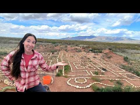 Growing Food in the DESERT! Our New Massive Garden