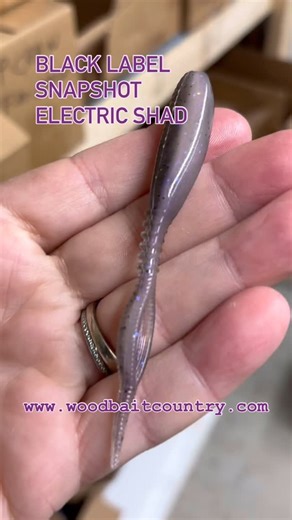 Found on WWW.WOODBAITCOUNTRY.COM, The Black Label Snapshot was designed to be a very versatile soft plastic in a small bite-size package. The Snapshot is absolutely deadly when rigged on a jighead and fished in open water. The unique hollowed out tail causes the bait to dart and quiver when twitched over suspended fish verses many small profile baits that do not have the ability to change direction when rigged on a jighead. The Snapshot also has a very good body-rolling action when rigged on a j