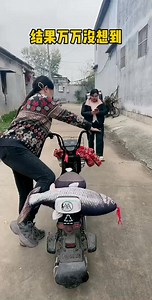 Top Funny Videos Part 514 | Funny Happy