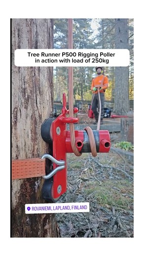 Tree Runner P500 Rigging Poller in action with load of 250kg #wood #woodworking
