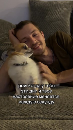 АНГЛИЙСКИЙ ОНЛАЙН•МЕТОДИСТ•ЛИНГВОКОУЧ on Instagram: "#животные#собаки#чихуахуа #чихуа #смешно#девочкитакиедевочки"