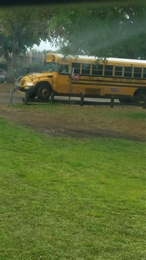 Showing Views: Miami Dade District School Bus BlueBird Vision Gasoline 2021 #421015