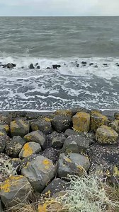 2.2K views · 108 reactions | Judith Rakers on Reels | Facebook