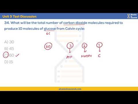 Bioenergetics test discussion by physics in second