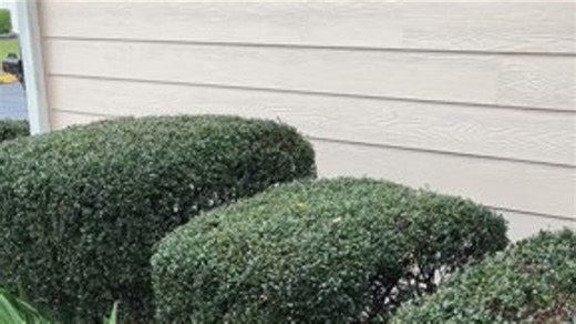 Snow flurries in Duluth, Georgia