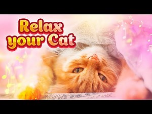 Relaxing piano music for cats 10 hours ♬ Music therapy for pets 432 hz