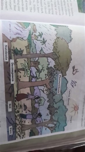 class 7 science chapter 12