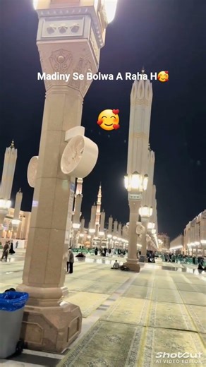 Madiny Se Bolawa A Raha H 🥰💯🥰🥰🥰💞