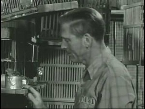 Burt Lancaster profile on TCM