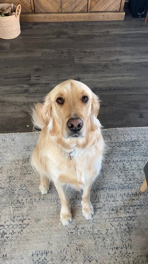 18K views · 111 reactions | Brain teaser that will tease your brain. #riddles #math #games #braingames #reels #brain health | Charles Parks | Facebook