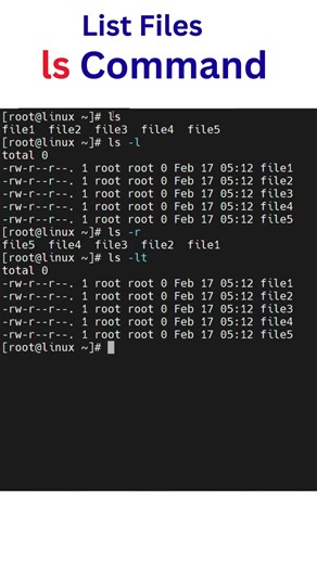 Master the ls command in 30 seconds. #shorts #linux
