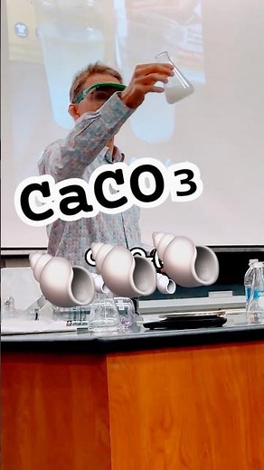 Making Seashells with Chemistry? 🧪 🐚