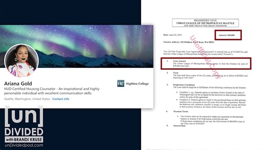 81K views · 2.2K reactions | Exclusive: A state program designed to help people of color build wealth was being used to enrich those with ties to BIPOC nonprofits in charge of awarding taxpayer funds. | Brandi Kruse | Facebook