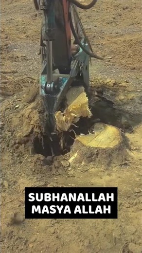 easy way to remove large wood roots