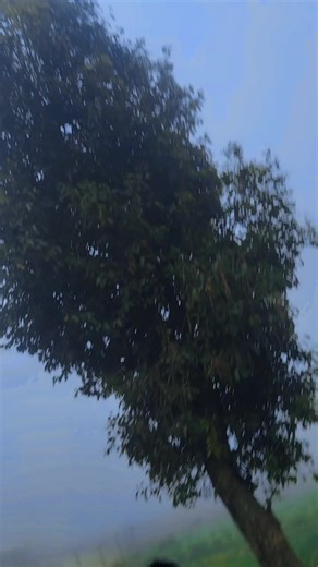 𝒔𝒊𝒎𝒑𝒍𝒆 𝒍𝒐𝒗𝒆, 💝 (@simplelover51)’s videos with original sound - ..𝙈ᵣᏒο𝚕𝐞x🥀🧸