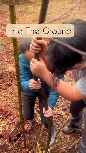 Making a Willow fence!