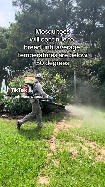 Protect Your Outdoor Fun from Texas Mosquitoes