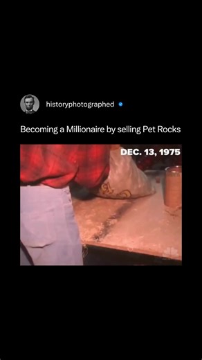 History Photographed on Instagram: "In 1975, Gary Dahl created the Pet Rock after joking with friends about low-maintenance pets. ⁠ ⁠ The novelty toy required no care and thus surprisingly became a hit during the period.⁠ ⁠ It came with a humorous training manual on how to “care” for your rock.⁠ ⁠ The novelty toy became a nationwide fad, selling over a million units in its first year.⁠ ⁠ Credit: @nbcnews"