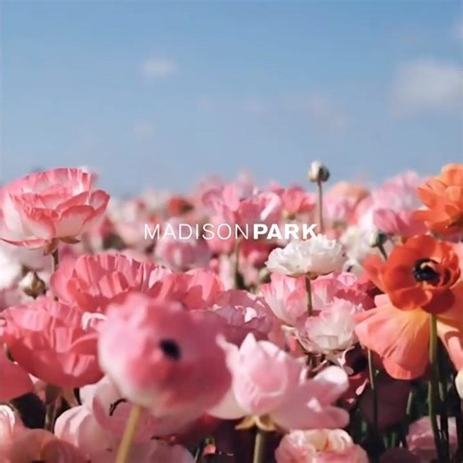 Madison Park Floral Bedding