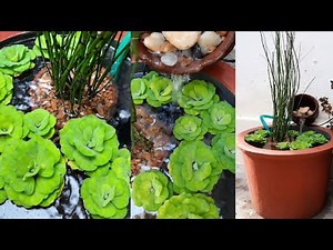 Fish Pond | Simple and easiest waterfall pond making idea | Water plants | How to make fish pond